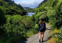 Featured image for Booking Unique Experiences in New Zealand with Expert Guidance